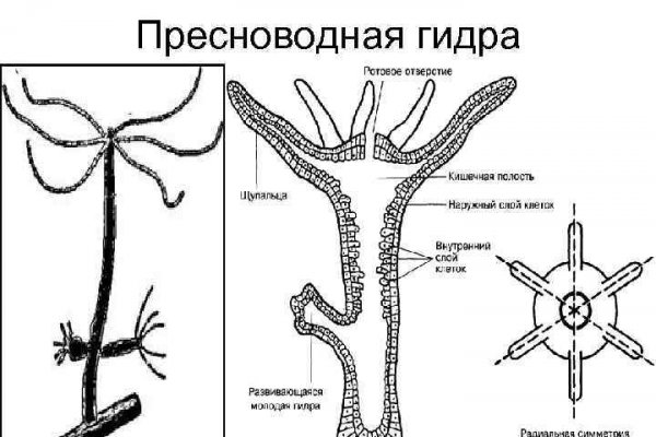 Не входит в кракен пользователь не найден